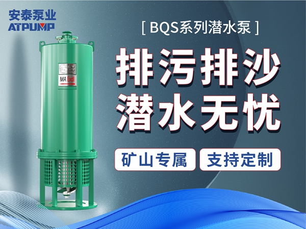 BQS系列巅峰国际