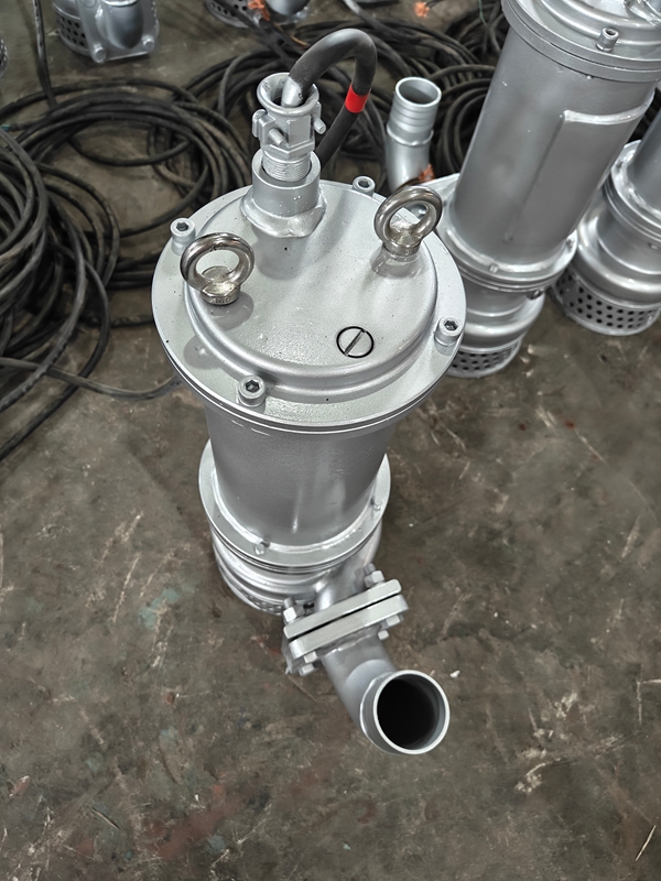 WQ小型潜水排污泵