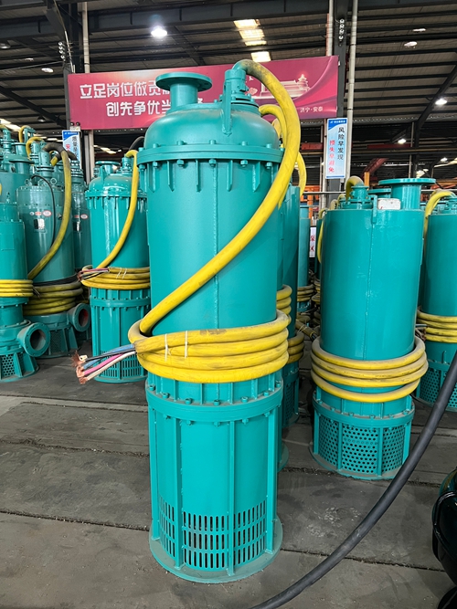 BQS55矿用排沙泵